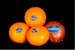 Compra Fruta de Temporada | MANDARINA NADARCOT FONTESTAD | FrutasNieves