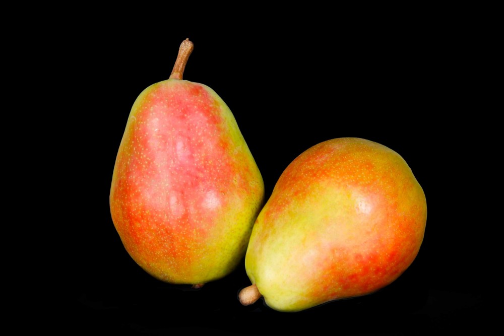 Compra Fruta de Temporada | PERA MORATINI | FrutasNieves