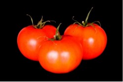 Compra Fruta de Temporada | TOMATE II | FrutasNieves