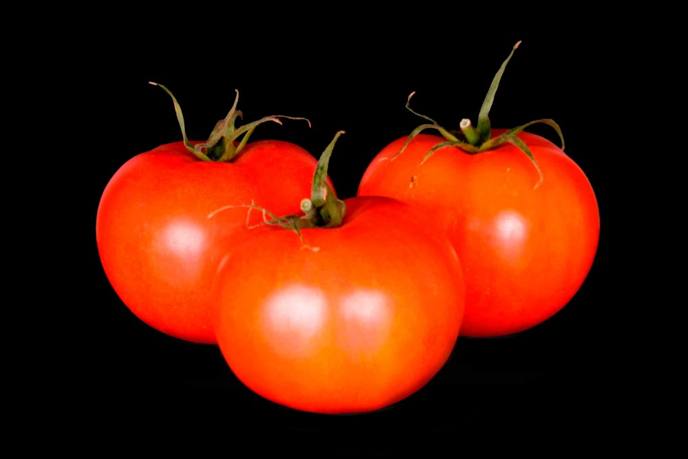 Compra Fruta de Temporada | TOMATE II | FrutasNieves