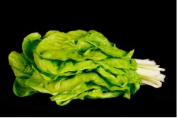 Compra Verdura, Hortalizas de Temporada | ACELGAS | FrutasNieves