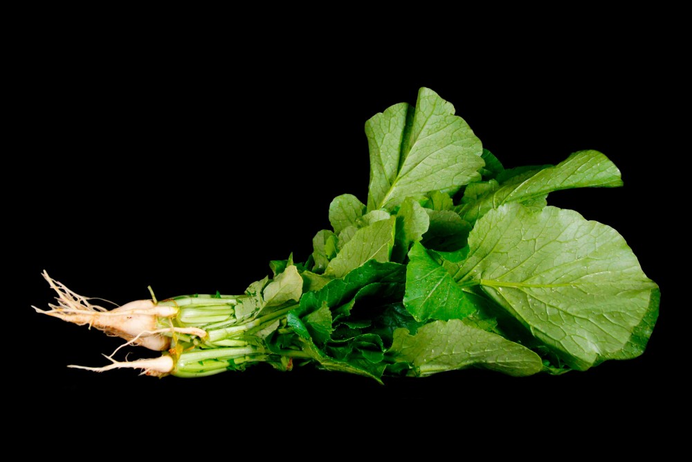 Compra Verdura, Hortalizas de Temporada | NABIZAS | FrutasNieves