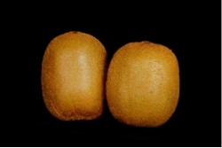 Compra Fruta de Temporada | KIWI EXTRA | FrutasNieves