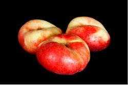 Compra Fruta de Temporada | PARAGUAYO PLATERINA I | FrutasNieves