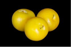 Compra Fruta de Temporada | CIRUELA AMARILLA | FrutasNieves
