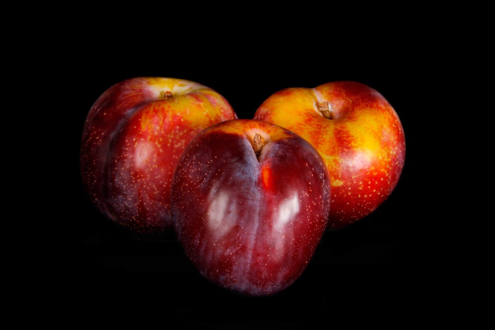 Compra Fruta de Temporada | CIRUELA LARRY | FrutasNieves