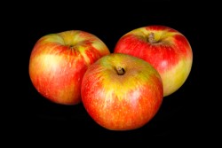 Compra Fruta de Temporada | MANZANA AKANE I | FrutasNieves