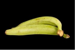 Compra Fruta de Temporada | PLATANO DE FREIR | FrutasNieves