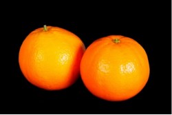 Compra Fruta de Temporada | NARANJA DE MESA DE IMPORTACION | FrutasNieves