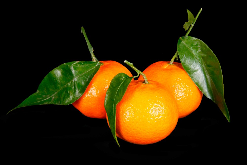 Compra Fruta de Temporada | CLEMENTINA DE HOJA | FrutasNieves