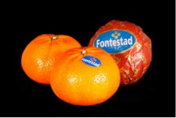 Compra Fruta de Temporada | CLEMENTINA FONTESTAD | FrutasNieves