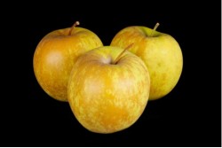 Compra Fruta de Temporada | MANZANA GOLDEN ROSSETTI | FrutasNieves