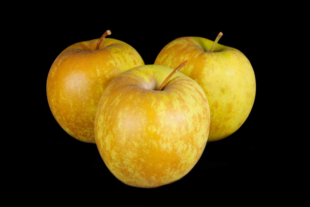 Compra Fruta de Temporada | MANZANA GOLDEN ROSSETTI | FrutasNieves