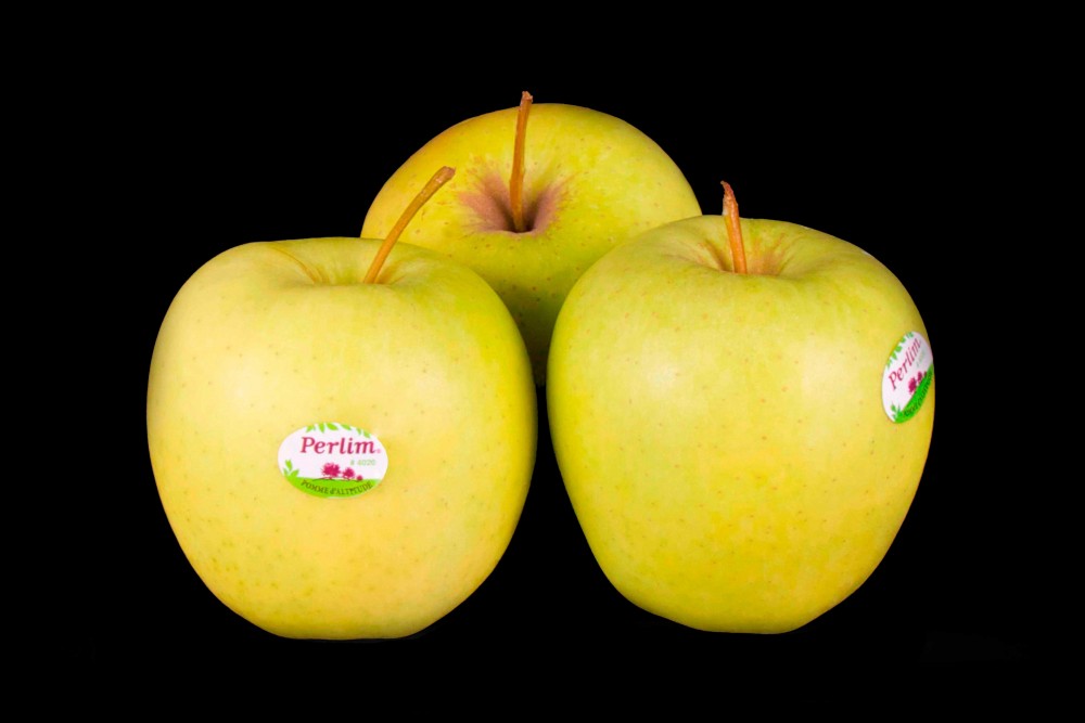 Compra Fruta de Temporada | MANZANA GOLDEN PERLIN | FrutasNieves