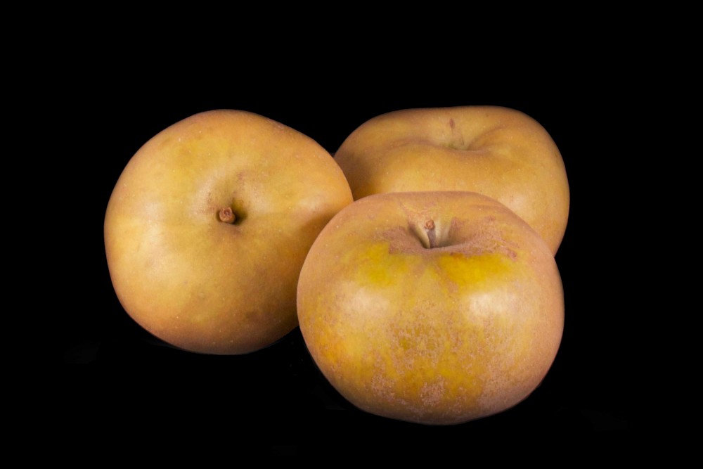 Compra Fruta de Temporada | MANZANA CANADA GRIS | FrutasNieves