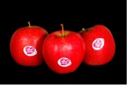 Compra Fruta de Temporada | MANZANA PINK LADY | FrutasNieves