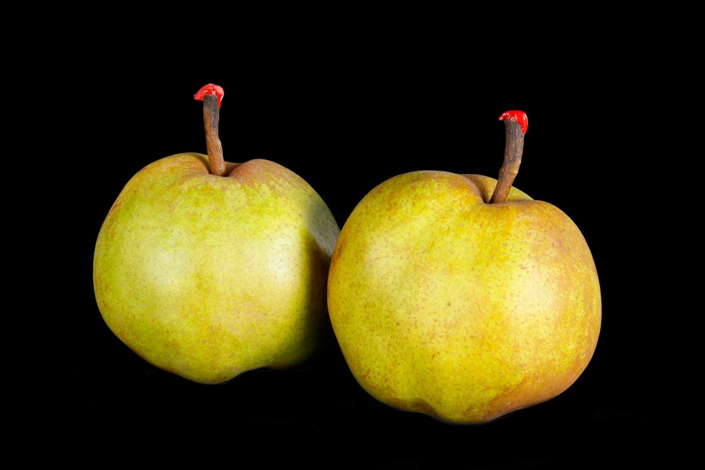 Compra Fruta de Temporada | PERA PASSACRASANA | FrutasNieves