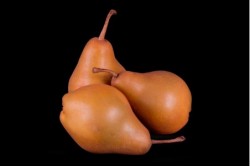 Compra Fruta de Temporada | PERA CHAMPION | FrutasNieves