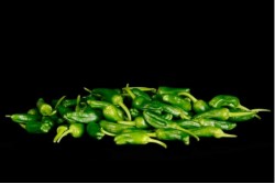 Compra Verdura, Hortalizas de Temporada | PIMIENTO TIPO  PADRON | FrutasNieves