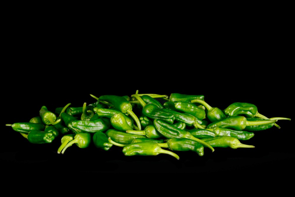 Compra Verdura, Hortalizas de Temporada | PIMIENTO TIPO  PADRON | FrutasNieves