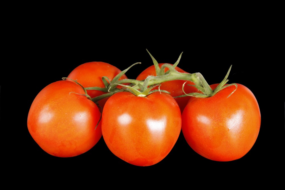 Compra Verdura, Hortalizas de Temporada | TOMATE RAMA EXTRA | FrutasNieves