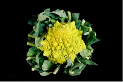Compra Verdura, Hortalizas de Temporada | COLIFLOR ROMANESCU | FrutasNieves