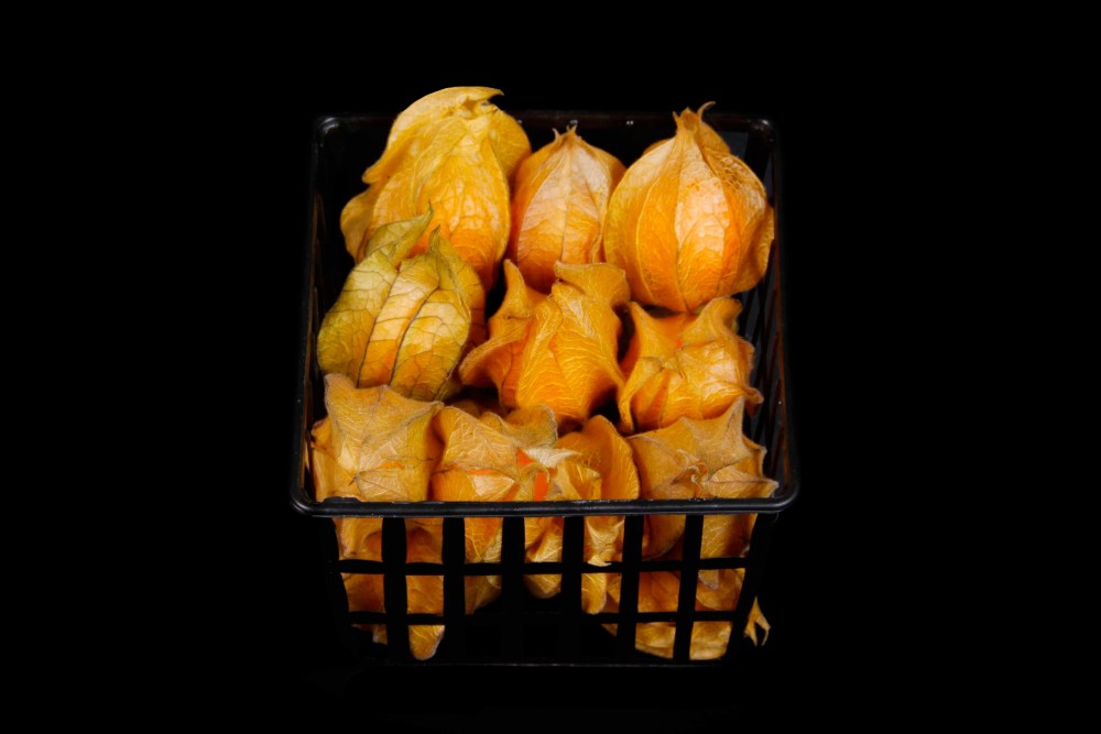 Compra Verdura, Hortalizas de Temporada | PHYSALIS | FrutasNieves