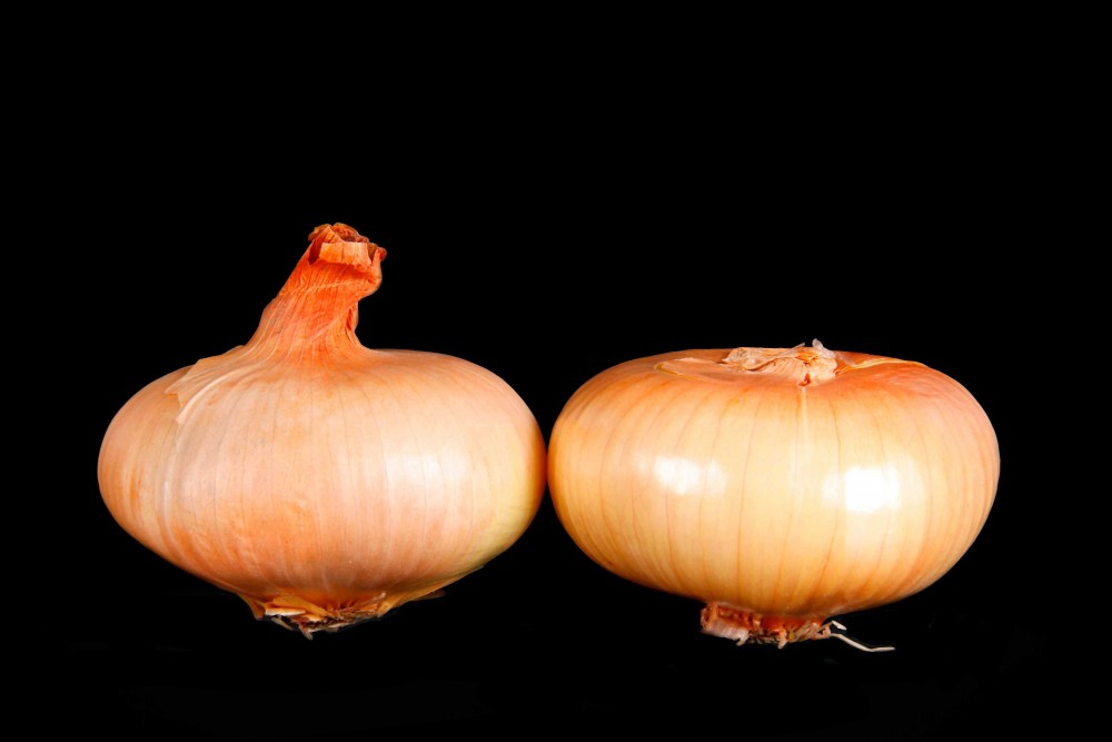 Compra Verdura, Hortalizas de Temporada | CEBOLLAS PAIS | FrutasNieves
