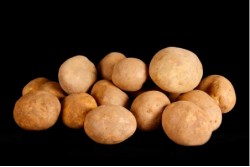 Compra Verdura, Hortalizas de Temporada | PATATA FRISIA NUEVA | FrutasNieves