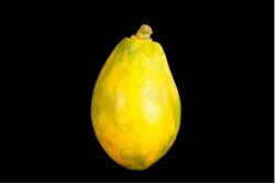 Compra Fruta de Temporada | PAPAYA | FrutasNieves