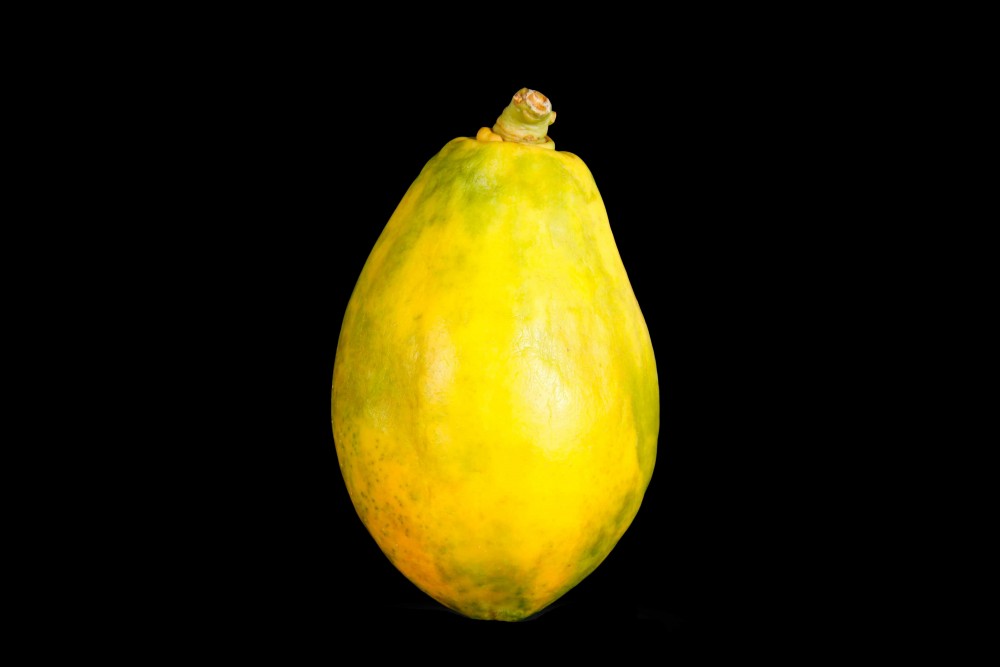 Compra Fruta de Temporada | PAPAYA | FrutasNieves