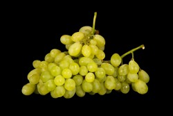 Compra Fruta de Temporada | UVA VICTORIA | FrutasNieves