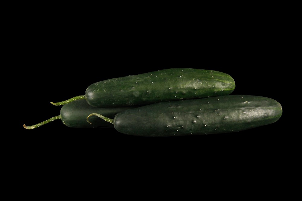 Compra Verdura, Hortalizas de Temporada | PEPINOS | FrutasNieves