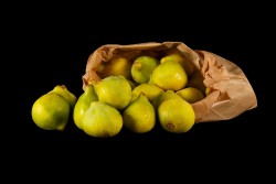 Compra Fruta de Temporada | HIGO BLANCO | FrutasNieves