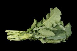 Compra Verdura, Hortalizas de Temporada | NABICOL | FrutasNieves