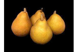 Compra Fruta de Temporada | PERA WILLIAMS | FrutasNieves