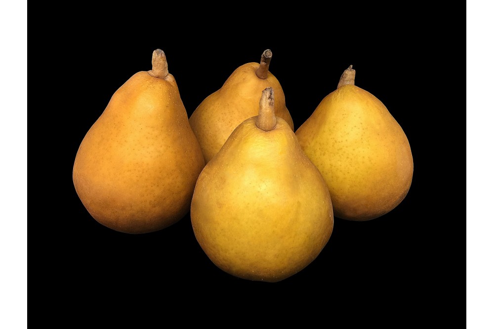 Compra Fruta de Temporada | PERA WILLIAMS | FrutasNieves