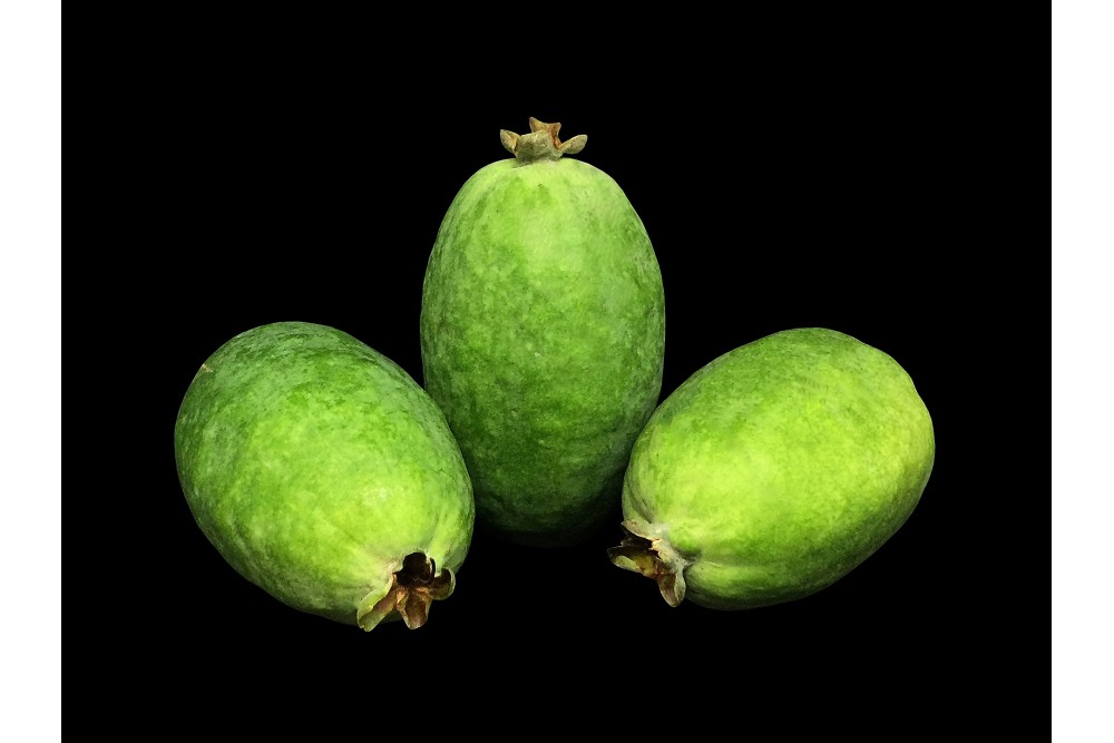 Compra Fruta de Temporada | FEIJOAS | FrutasNieves Compra Fruta de Temporada | FEIJOAS | FrutasNieves