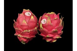 Compra Fruta de Temporada | PITAHAYA ROJA | FrutasNieves