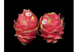 Compra Fruta de Temporada | PITAHAYA ROJA | FrutasNieves