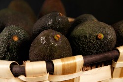 Compra Fruta de Temporada | AGUACATE PREMADURADO | FrutasNieves