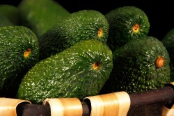 Compra Fruta de Temporada | AGUACATE | FrutasNieves