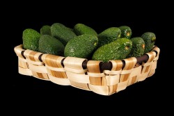 Compra Fruta de Temporada | AGUACATE | FrutasNieves