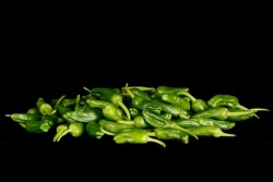 Compra Verdura, Hortalizas de Temporada | PIMIENTO DE PADRON DEL PAIS | FrutasNieves