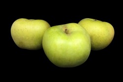 Compra Fruta de Temporada | MANZANA TABARDILLA VERDE | FrutasNieves