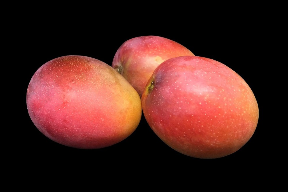 Compra Fruta de Temporada | MANGO TROPICAL | FrutasNieves