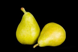 Compra Fruta de Temporada | PERA LIMONERA I | FrutasNieves