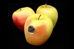 Compra Fruta de Temporada | MANZANA GOLDEN RÓSE | FrutasNieves