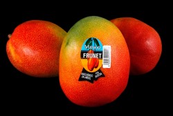 Compra Fruta de Temporada | MANGO ESPECIAL | FrutasNieves