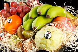 Compra Fruta de Temporada | CESTA FRUTAS TRADICIONAL | FrutasNieves